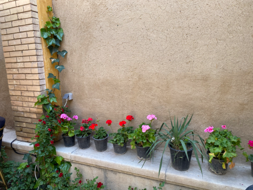 عکس هتل پاسارگاد