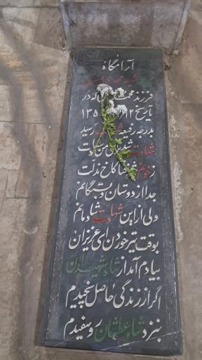 عکس مزار شهید مهدی صفری