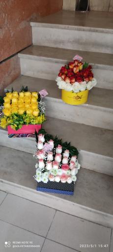 عکس غنچه آرایی گلستان 