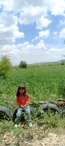 عکس منگاوی