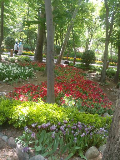 عکس بوستان جنگلی شهرک پاس