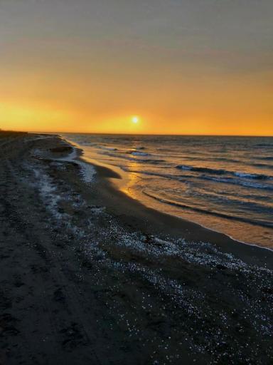 عکس ساحل سرخرود