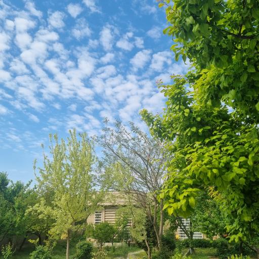 عکس سوئیت شعله