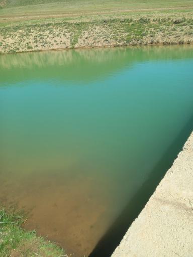 عکس منگاوی