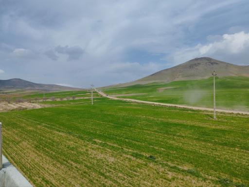 عکس منگاوی