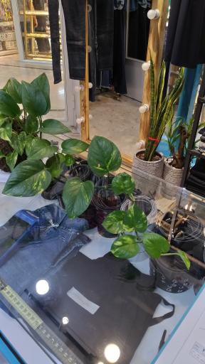 عکس فروشگاه پرنس جین