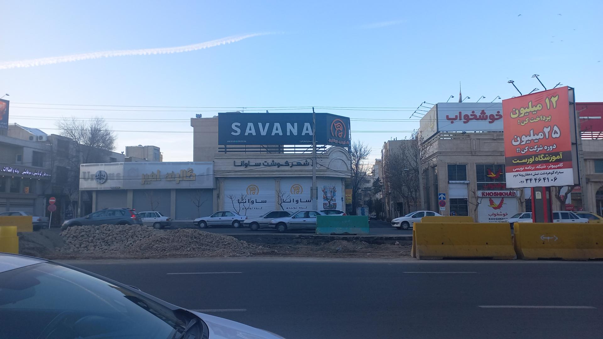 عکس نمایندگی انحصاری مرغ ساوانا البرز