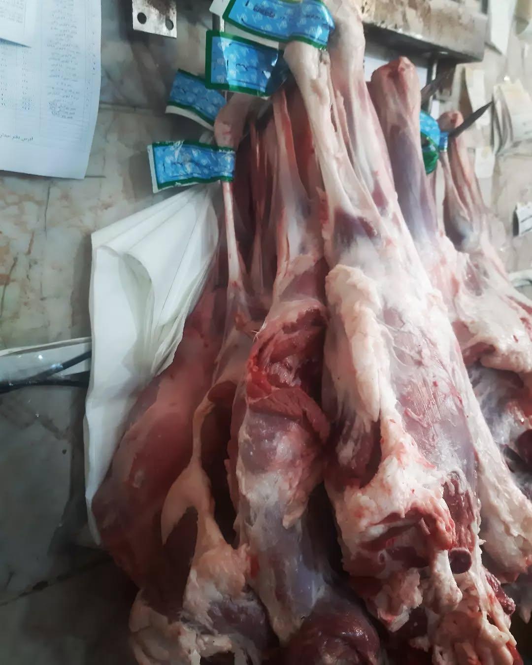 عکس پروتئین برادران 