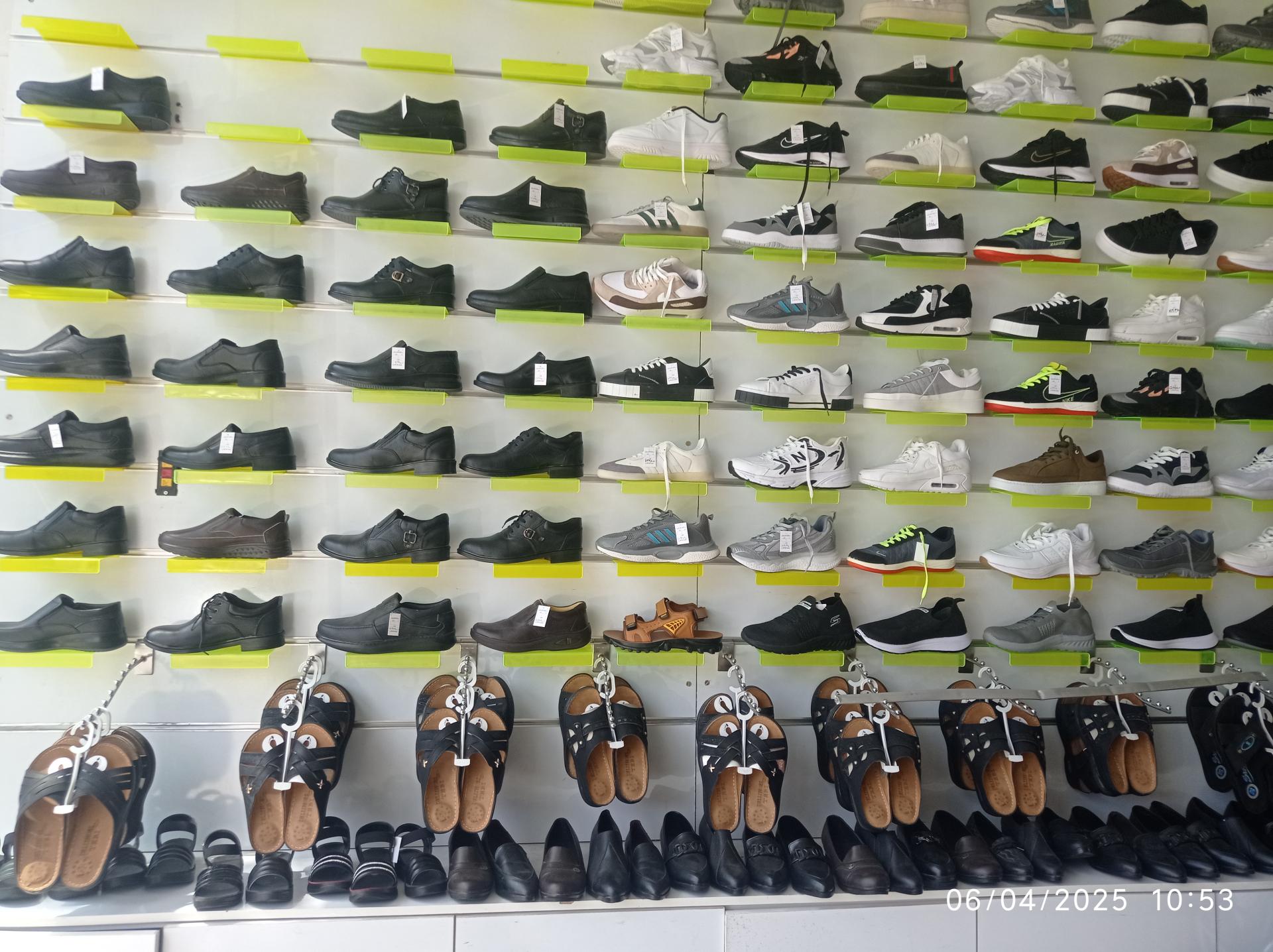 عکس تولید و پخش کفش نوین