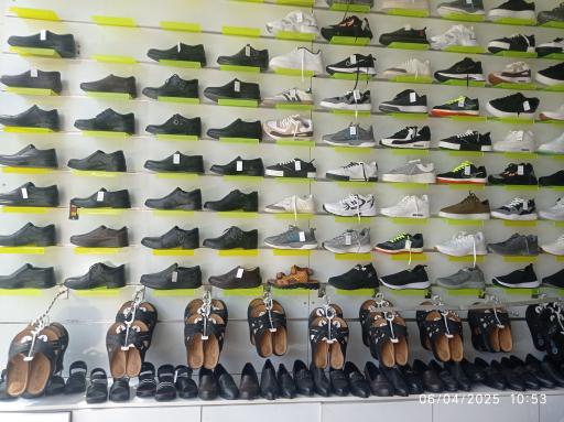 تولید و پخش کفش نوین