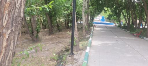 عکس پارک جنگلی حصار مهتر