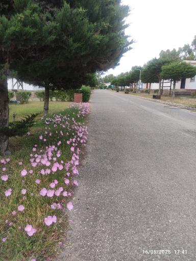 عکس مجتمع رفاهی راه آهن