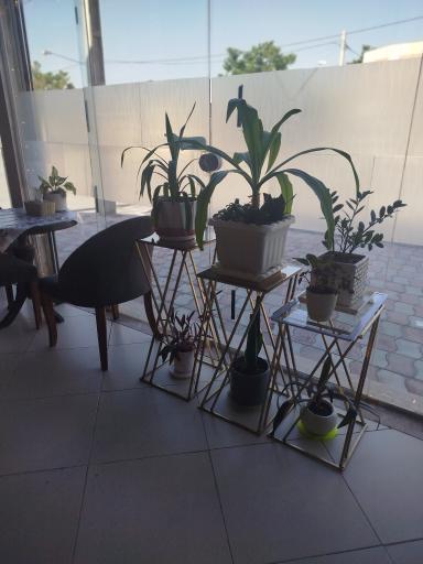 عکس کافی شاپ ملکه