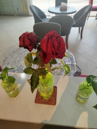 عکس کافی شاپ ملکه