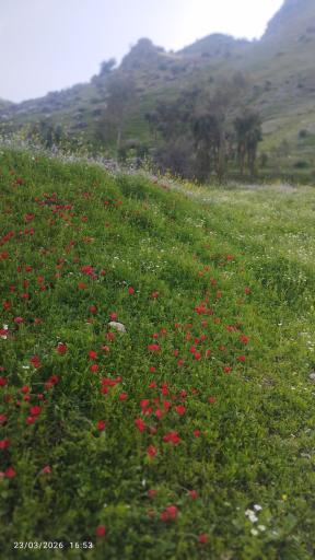 عکس چرام