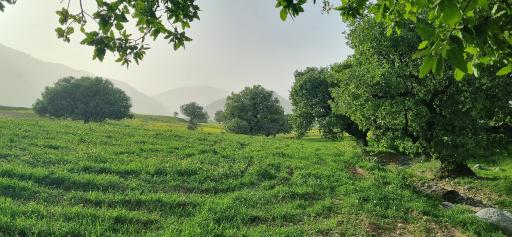 عکس چرام