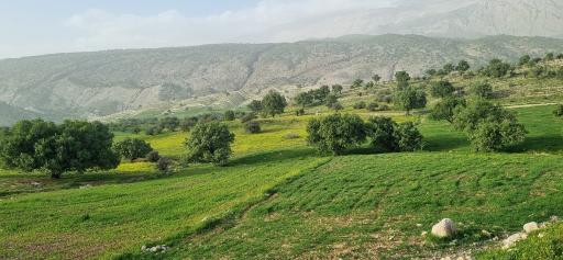 عکس چرام