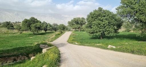 عکس چرام