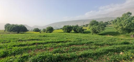 عکس چرام