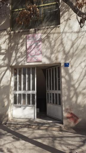 عکس تاک چوب 