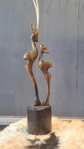 عکس گالری چوبک