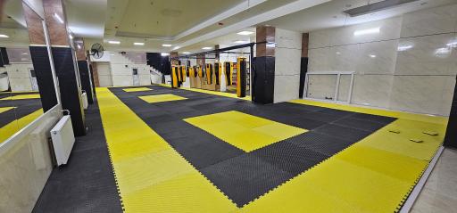 عکس باشگاه رزمی اسپیکو پلاس (استاد بهروان)