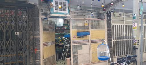 عکس پرنده فروشی بهنام 