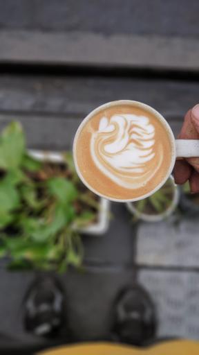 عکس کافه نیم