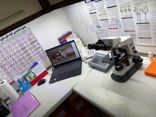 عکس ساختمان دامپزشکی ابوریحان