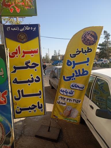 عکس طباخی بره طلایی