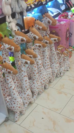 عکس فروشگاه کشورتویز