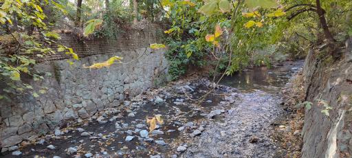 عکس بوستان خزر