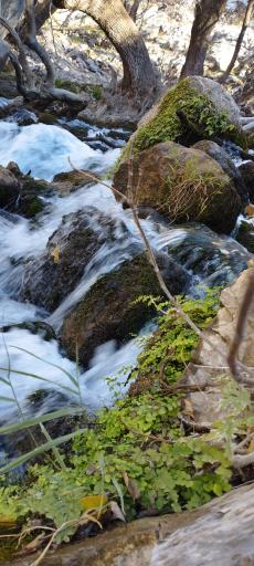 عکس آبشار تنگ دم اسب