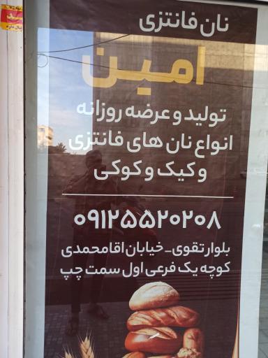 عکس نان فانتزی امین