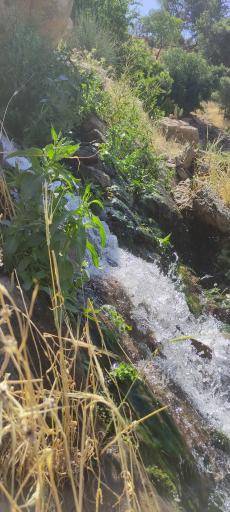 عکس آبشار تنگ دم اسب