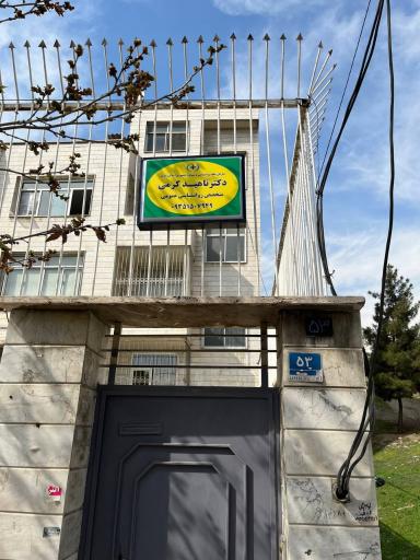 عکس دکتر ناهید کرمی (روانشناس کودک و نوجوان)