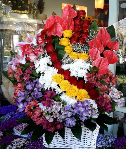 عکس قزوین گل