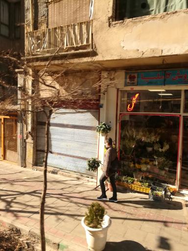 عکس گل فروشی کاملیا