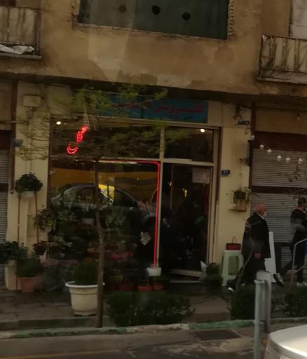 عکس گل فروشی کاملیا