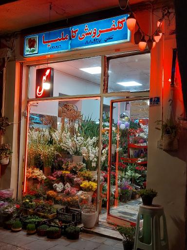 عکس گل فروشی کاملیا