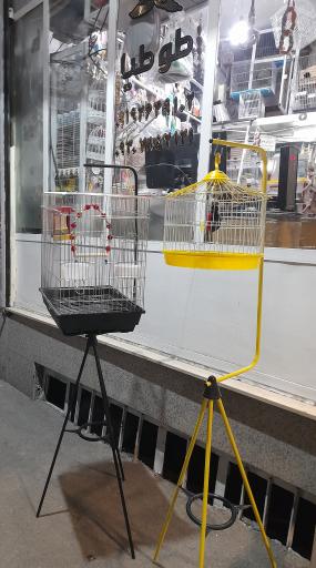 عکس پت شاپ طوطیاهشتگرد