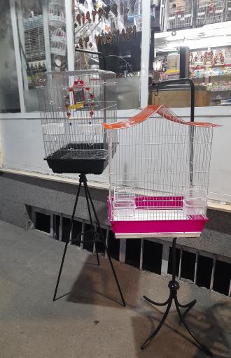 پت شاپ طوطیاهشتگرد