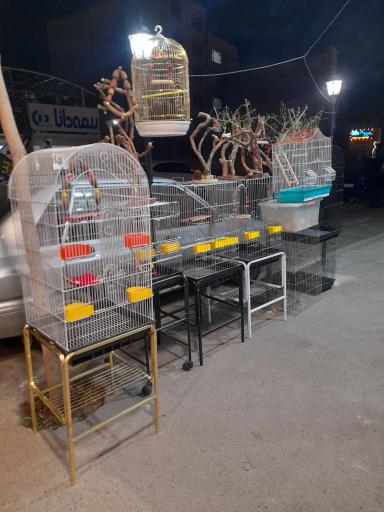 پت شاپ طوطیاهشتگرد