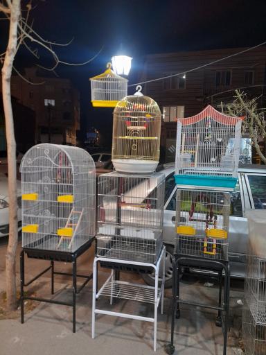 پت شاپ طوطیاهشتگرد