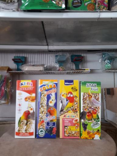 عکس پت شاپ طوطیاهشتگرد