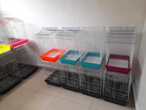 عکس پت شاپ طوطیاهشتگرد