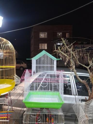 عکس پت شاپ طوطیاهشتگرد