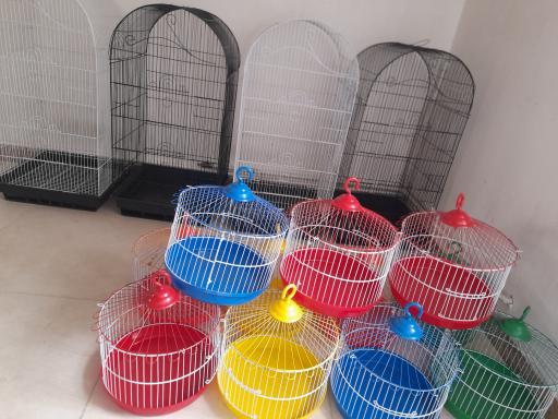 پت شاپ طوطیاهشتگرد