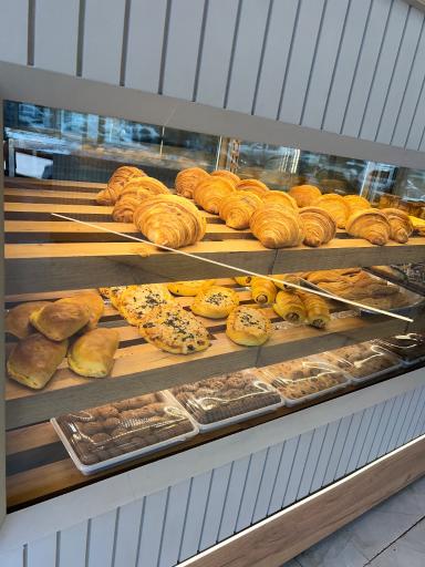 عکس مجتمع نان مانا