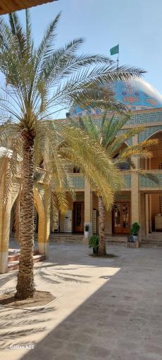 مسجد امام حسن (ع)